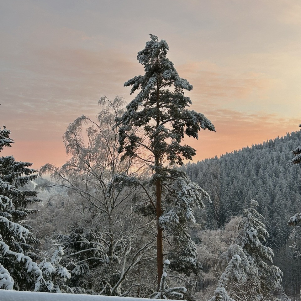 Schnee im Waldloft Thüringer Wald