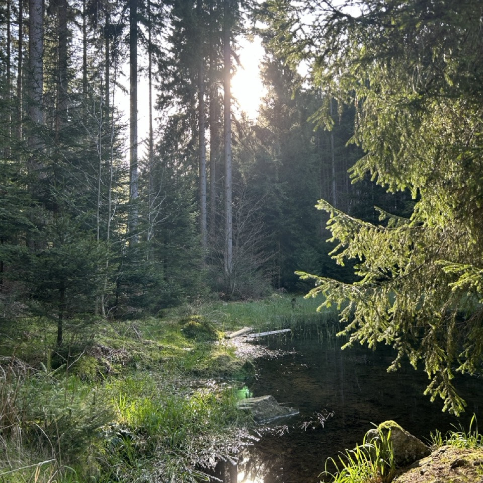 Wasserfälle im Thüringer Wald